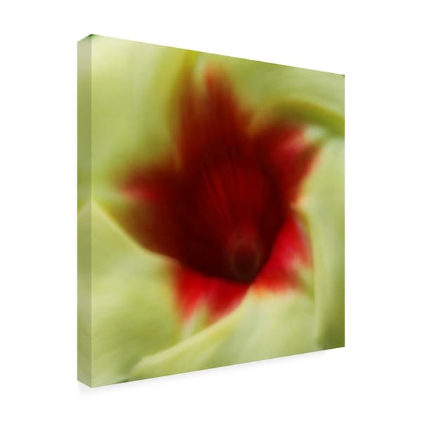 Dana Brett Munich 'Flower Edible' Canvas Art,24x24